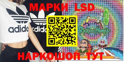 индика Канаш