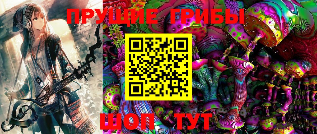 Курчатов  Псилоцибиновые грибы Psilocybe  Вход с VPN 