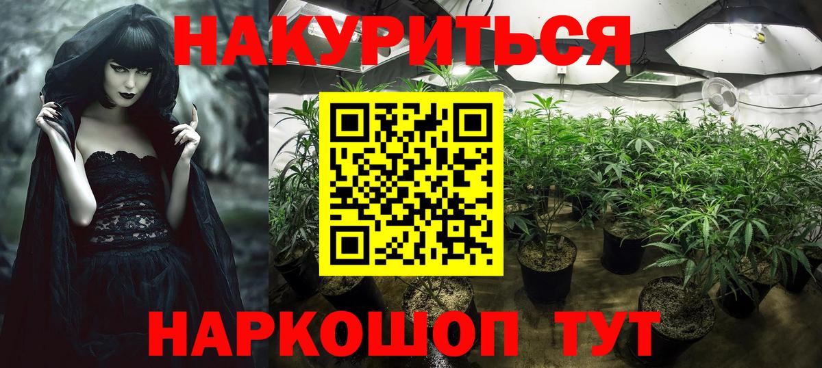 Бошки марихуана сатива  Вход с VPN  Шишки марихуана SATIVA & INDICA  Курчатов  Каннабис VHQ  Каннабис VHQ 